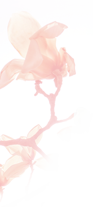 德國TRUMPF（通快）